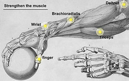 Power Wrist Ball AUTO Start Gyro Ball with LED Lights Forearm Exerciser Wrist Strengthener for Strengthening Muscle and Bones